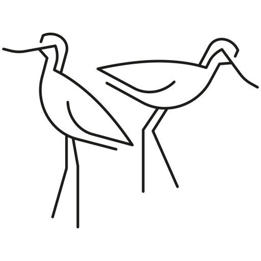 Salinas Dama Blanca certificado 0% microplasticos