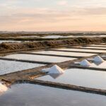 &iquest;La sal es un mineral?